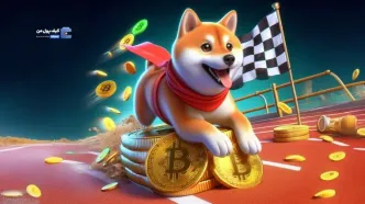 بیت کوین در مقابل دوج کوین(DOGE) !