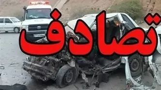 پای "همستر" به تصادفات رانندگی هم باز شد/ هشدار پلیس