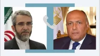 تماس تلفنی وزیر خارجه مصر و علی باقری / محور اصلی گفتگو چه بود؟