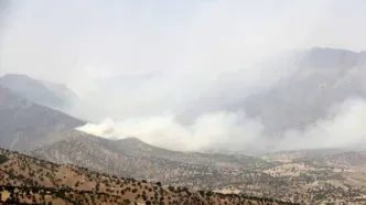 آتش‌سوزی به جنگل‌های پلدختر رسید/ درخواست اعزام بالگرد به منطقه