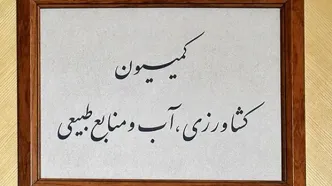 رئیس سازمان محیط زیست گزارش خود در خصوص چالش‌های زیست محیطی کشور را ارئه می‌کند