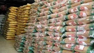 برنج ایرانی گران می‌شود؟
