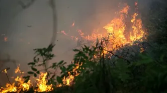 آتش‌سوزی در جنگل‌های چهارمحال و بختیاری/ نیروهای امدادی اعزام شدند