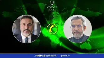 گفت‌وگوی تلفنی علی باقری با وزیر امور خارجه ترکیه