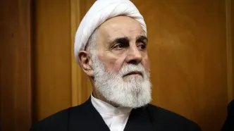 پیام تسلیت علی اکبر ناطق نوری در پی شهادت رهبر انقلاب