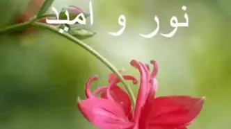 فال و طالع بینی امروز 28 خرداد + فیلم