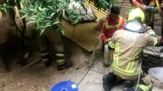 مرگ تلخ زن تهرانی در سقوط در چاه حیاط خانه اش/ ویدئو