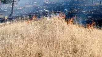 شناسایی ۱۷ نفر برای آتش‌سوزی جنگل‌های لرستان
