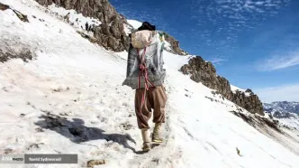 درخواست نماینده مردم بانه در مجلس برای کولبران/ تیراندازی ممنوع شود