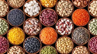 قیمت انواع حبوبات ۲۲ خرداد ۱۴۰۳+ جدول
