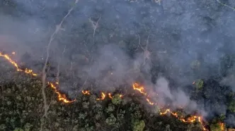 آتش سوزی پارک ملی کرخه در استان خوزستان