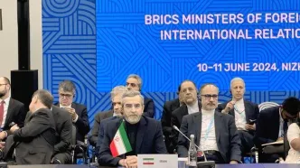 باقری: تلاش برای دلارزدایی از تجارت جهانی، خواسته همه کشورهای مستقل است