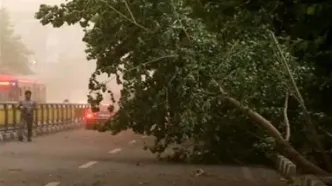 پیش‌بینی وزش باد شدید، گرد و خاک و رعد و برق در تهران