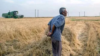 بقیه مطالبات گندمکاران چه زمانی پرداخت می‌شود؟