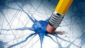 با این ۱۲ روش کم دردسر حافظه خود را قوی کنید