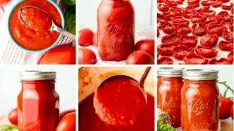 روش نگهداری گوجه فرنگی | نکات مهم خانه داری!