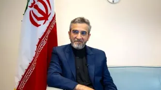 واکنش علی باقری به اقدام مراجع انتظامی آلمان در مرکز اسلامی هامبورگ