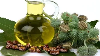 خواص روغن کرچک برای پوست و مو