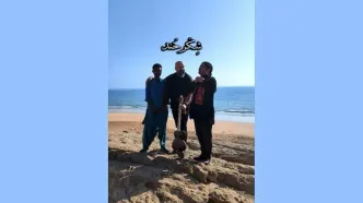 «تار و تاریخ» با «شکرخند» به ساحل دریای عمان رفت+فیلم