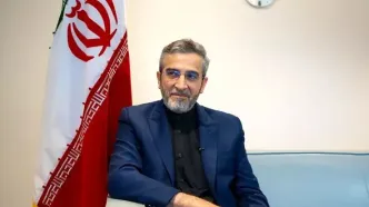 علی باقری: دکتر پزشکیان، رئیس جمهور منتخب ایران، اعلام کرده اند که رهیافت اصلی سیاست خارجی دولت وی گشایش افق‌های جدید، و گسترش همه‌جانبه‌ی روابط دوستانه با سایر دولت‌ها بر اساس گفتگو، همکاری، برابری و احترام متقابل خواهد بود