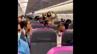 (ویدئو) حمله پشه‌ها به کابین هواپیما