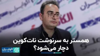 همستر به سرنوشت نات‌کوین دچار می‌شود‌؟