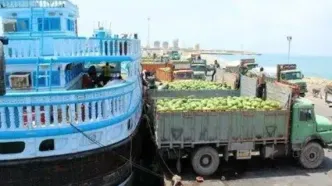 گوجه فرنگی در صدر کالاهای صادراتی به قطر