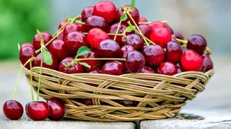 این افراد لب به آلبالو نزنند