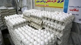 قیمت تخم مرغ پوسته قهوه‌ای و سفید در بازارهای میوه و تره‌بار کاهش یافت
