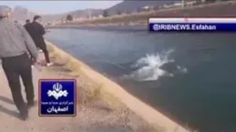 تلاش برای یافتن ۲ جوان غرق شده اهل شهر طاد (بخش پیربکران) در کانال آب کشاورزی همچنان ادامه دارد