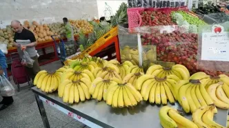 قیمت انواع میوه در بازارهای میوه و تره بار کاهش یافت