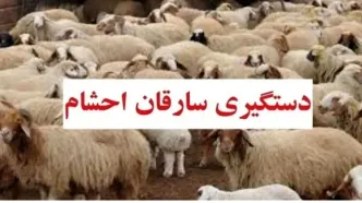 کشف پرونده ۴ میلیاردی احشام در گلوگاه