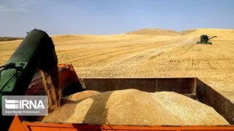 بیشترین میزان پرداختی گندم کاران به این استان‌
