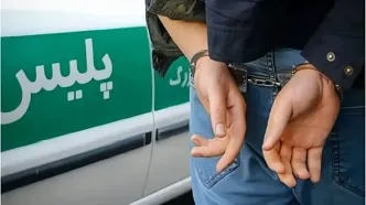 پلیس: ۱۵ عضو یک شرکت هرمی دستگیر شدند