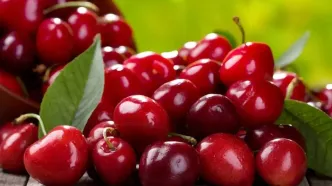 خورن آلبالو برای این افراد ممنوع