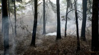 آتش سوزی در منابع طبیعی جاده کرج - چالوس مهار شد