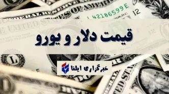 قیمت دلار و یورو امروز چهارشنبه ۲۰ تیر ۱۴۰۳ + جدول