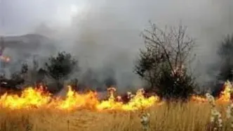 امسال ۵۰۰ هکتار از مراتع همدان دچار آتش‌سوزی شد
