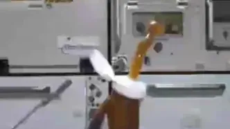( ویدئو) رقص عسل در ایستگاه فضایی