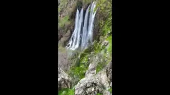 آبشار شوی واقع در مرز لرستان  و خوزستان