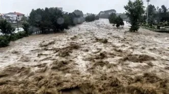 بلای عجیبی که باران تابستانی بر سر این مناطق آورد