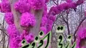 فال و طالع بینی امروز اول مرداد
