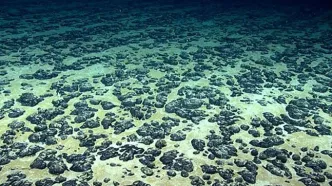 کشف غیرمنتظره «اکسیژن تاریک» در اعماق اقیانوس آرام