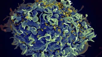 هفتمین نفر در جهان از «HIV» رهایی یافت