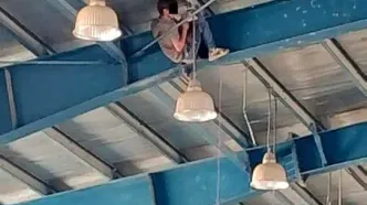 بازداشت «مارمولک» در سالن ورزشی! / تبهکاری که از دیوار 7 متری بالا می رفت