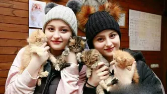 بیوگرافی سارا و نیکا فرقانی؛ دوقلوهای سوئدی‌ «پایتخت»
