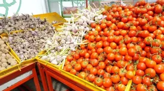 سبزیجات ۳۳ درصد ارزان‌تر از سطح شهر در بازارهای میوه و تره بار عرضه شد