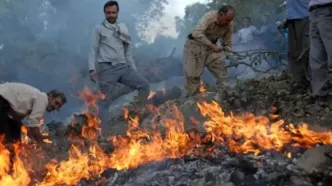 ۴۶۰ هکتار از جنگل‌ها در حریق خائیز خسارت دید/آتش زدن کاه و کُلَش عامل اصلی آتش‌سوزی