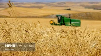 تصاویر: جشن برداشت گندم - هشترود