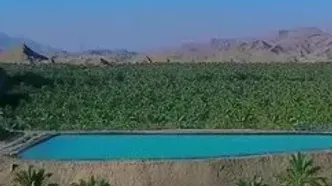 استان بوشهر ،نخلستان های کوهستانی رود فارایاب